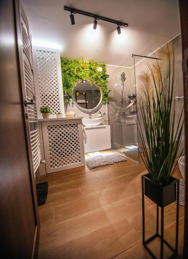 Royal Luxury Apartment 弗尔沙茨 外观 照片